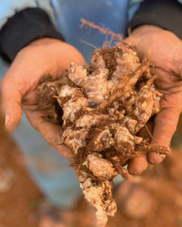 Bild von Khadi Produktnummer 438a5de0-47f7-45da-8fc9-0953b4fa5dbd