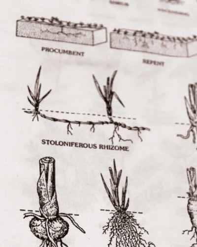 Bild von Khadi Produktnummer 62ec47cb-7ced-40fa-ac82-beb266258953