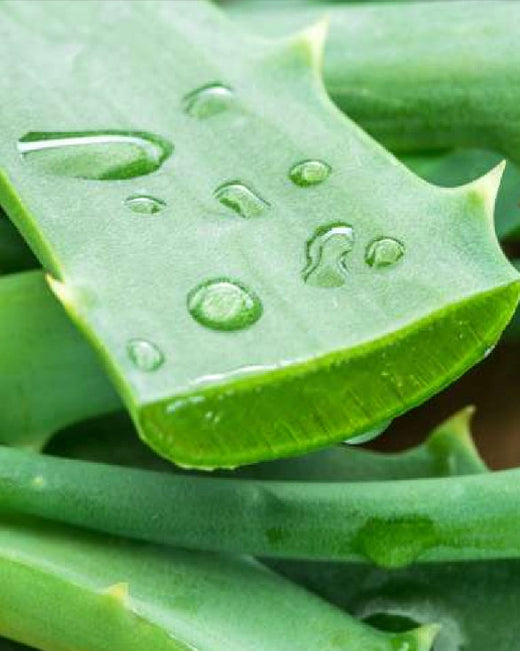 „Air“ – Symbolik der Khadi Produkte