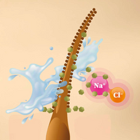 Bild von Rose Revolution Conditioner, allgemeine Darstellung