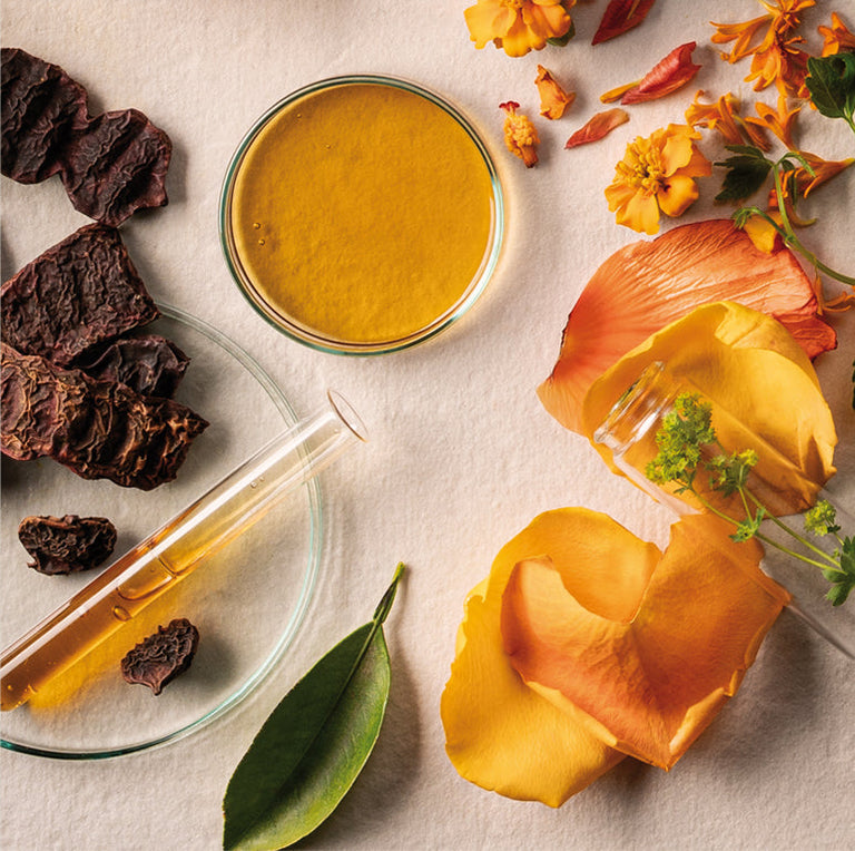 Bild von dem Wirkstofflexikon, das Inhaltsstoffe und Wirkstoffe erklärt