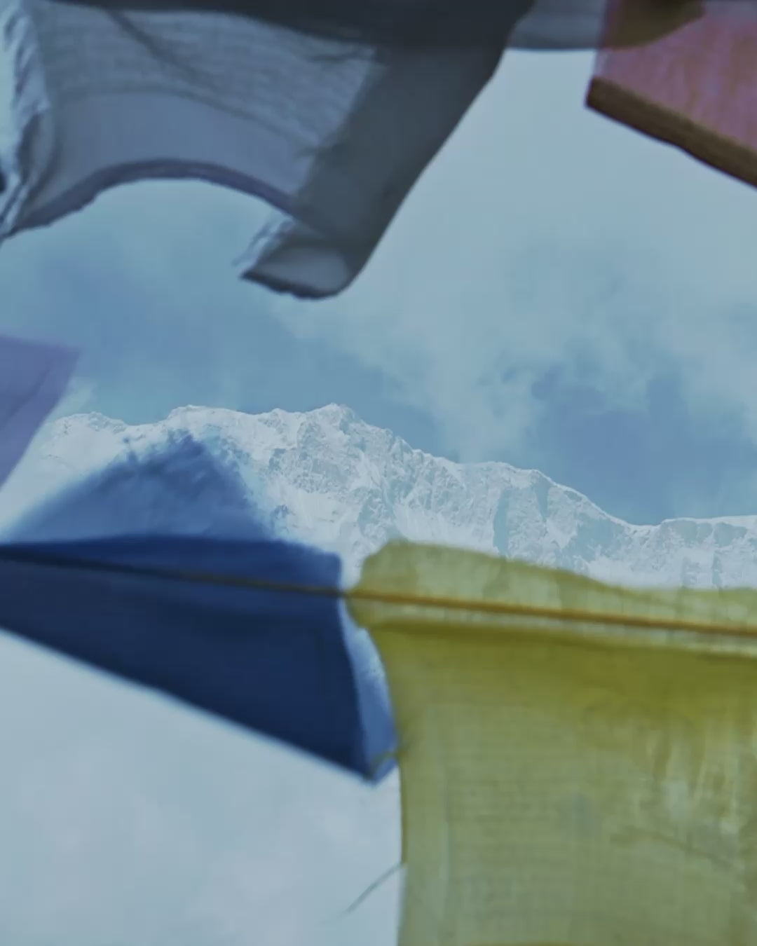 Himalaya Rose Inhaltsstoffe Video 4:5 ohne Text