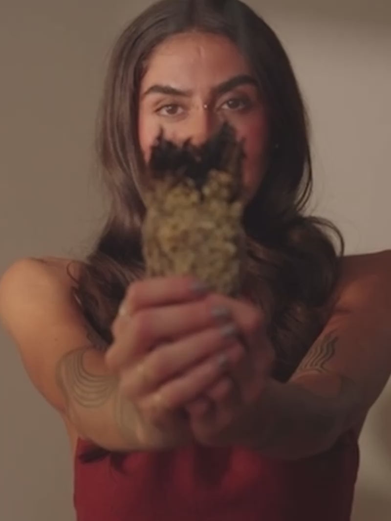 Video von Khadi Geheimnis der Pflanzenhaarfarbe (zweites Video)