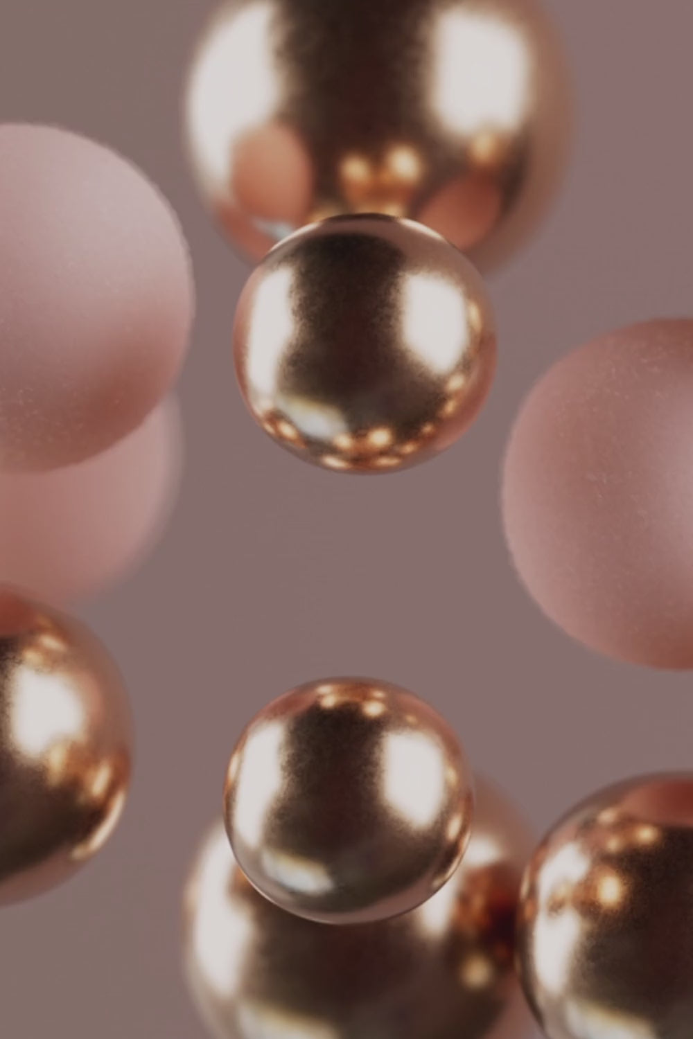 Video von Khadi Rose Rev Slider mit Inulin