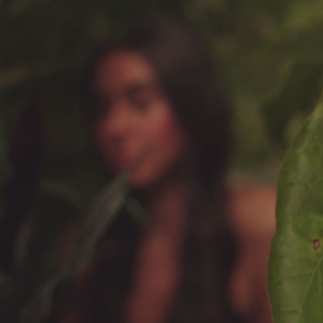 Vergleichsvideo zeigt Unterschiede in Khadi Pflanzenhaarfarben